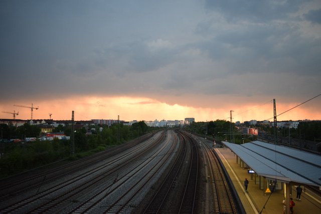 DSC_0704.JPG