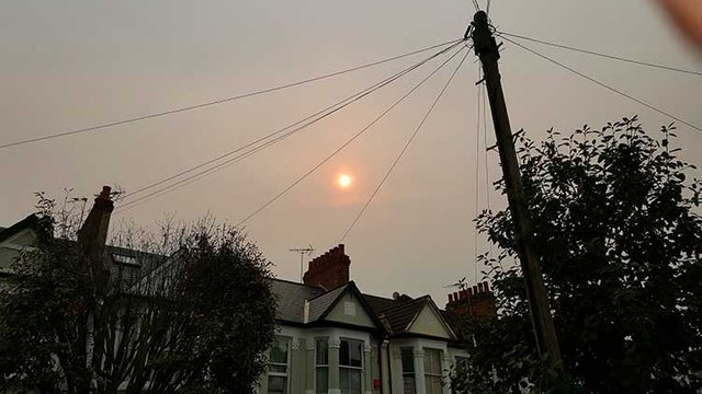 fulham-red-sun.jpg