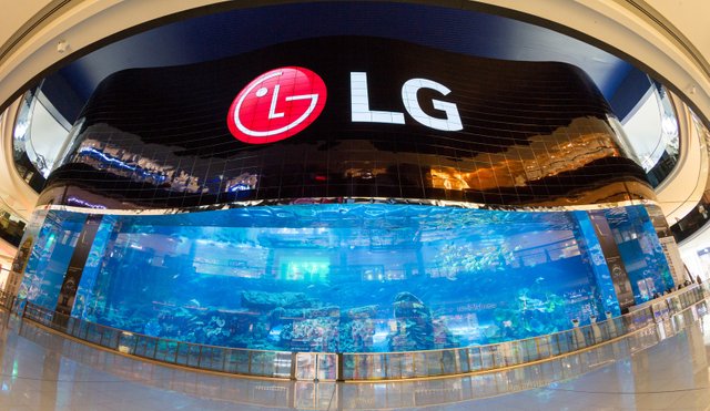 LG_Electronics_Business_Solutions_OLED_Screen.jpg