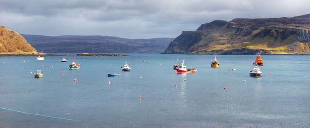 Fish boats in Portree.jpeg