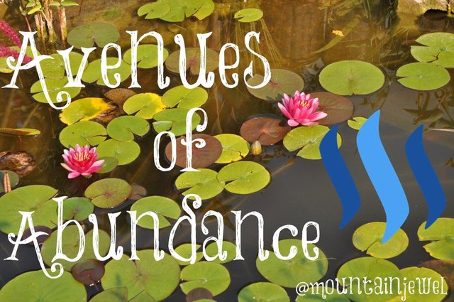 avenues of abundance_edited-1.jpg