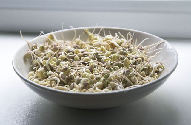 Kongnamul(soybean_sprouts).jpg