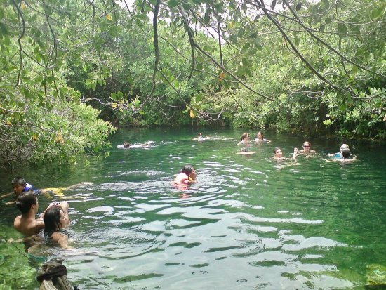 outdoor-cenote-xcacel.jpg