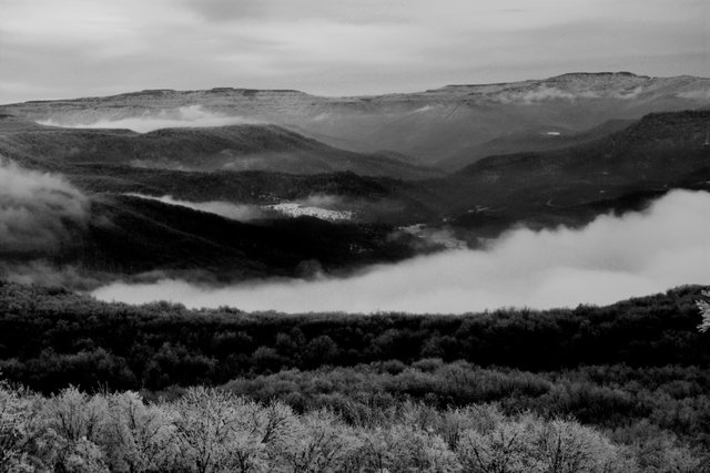 WestVirginiaB&Wdq (14).jpg