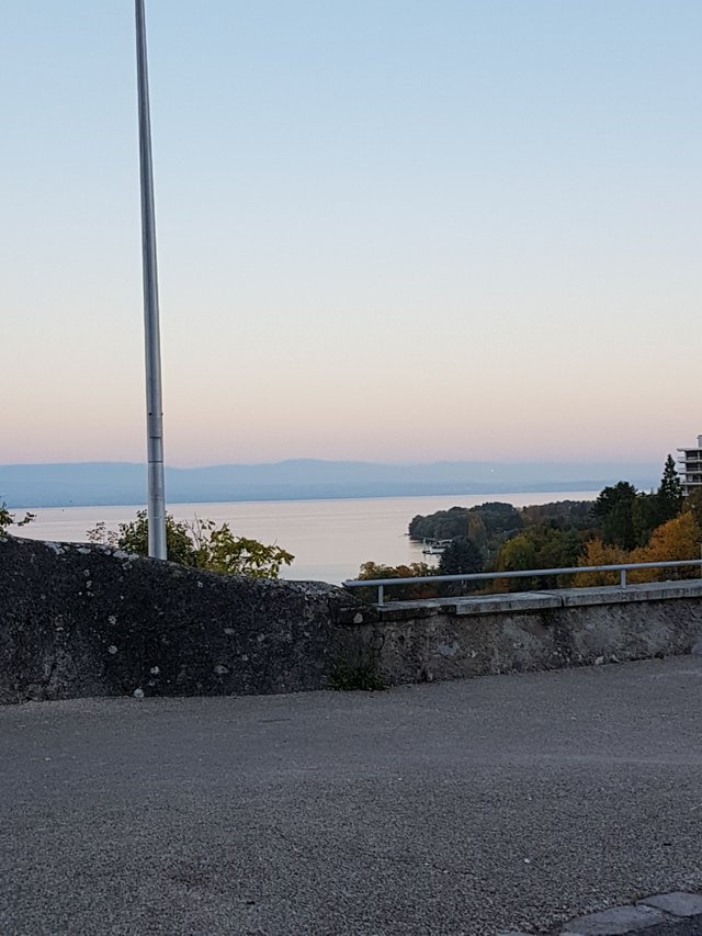 20171016_080053.jpg