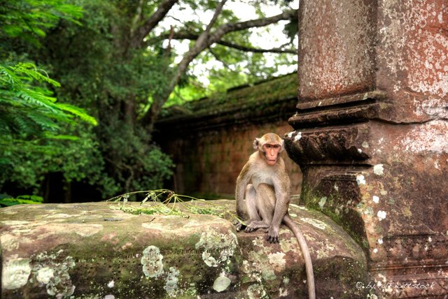 angkorwat2.jpg