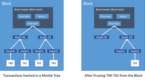 transactions in tree.png