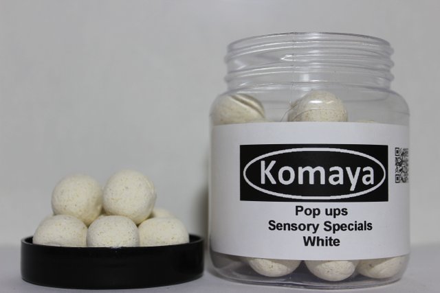 Komaya carp 15th january 2016 015.JPG