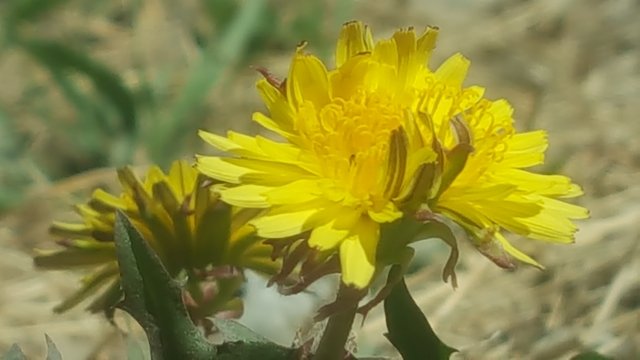 20180331_105113.jpg