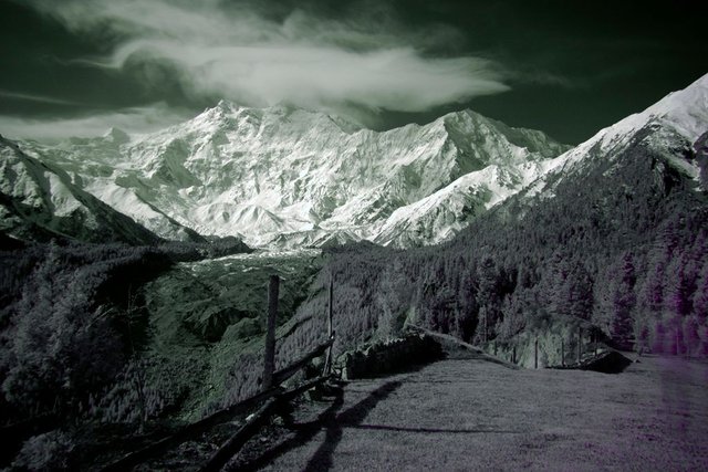 Nanga_Parbat_from_Fairy_Meadows_(7275734156).jpg