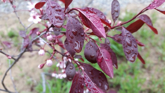20170526_121726.jpg