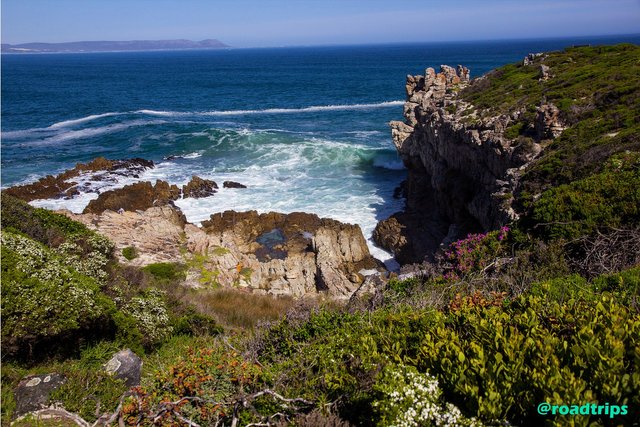 Cliff-path-at-Hermanus5.jpg