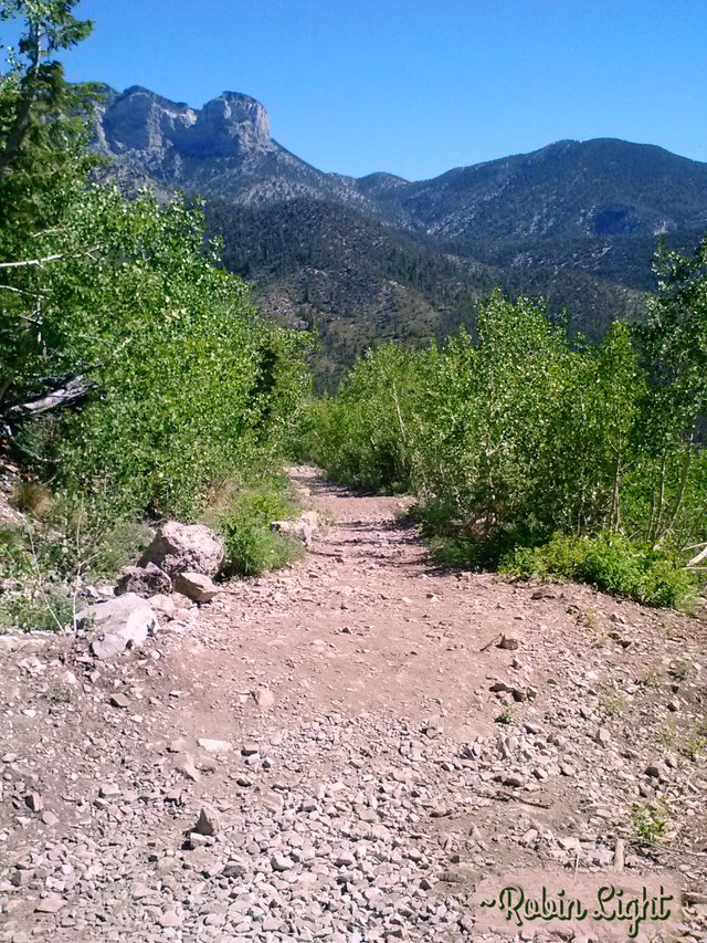 photo by Robin Light Nevada trail.jpg