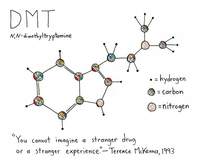 DMT1.jpg