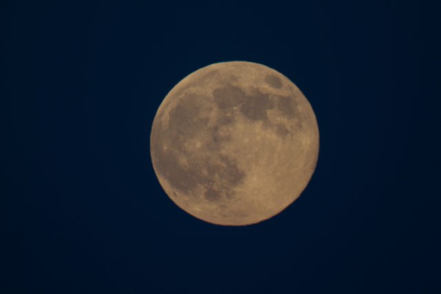 Tonight full moon 20100824 by Cuttie és Jodie.jpg