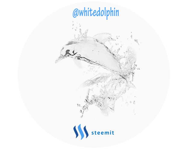 whitedolphin steemit logo final2.png