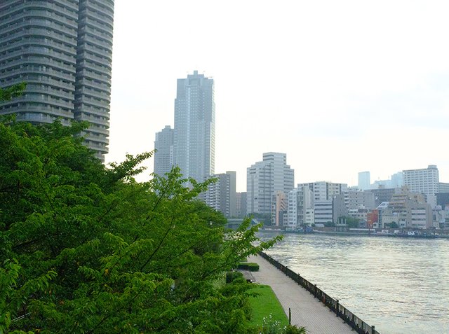 sumida8.jpg