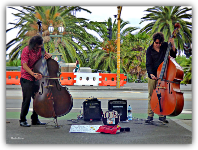 wmMel buskers.png