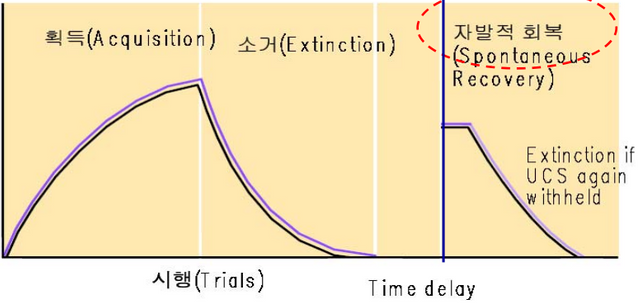 캡처.PNG