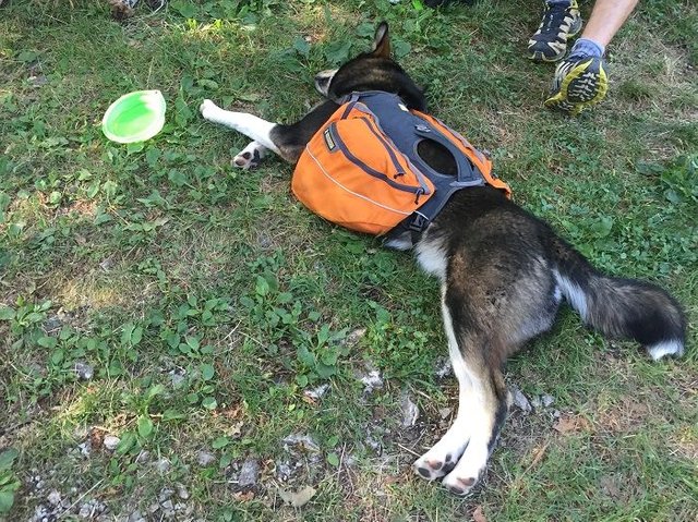 tired_hiking_Slovenia.jpg