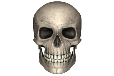 skull-1746206_640.png