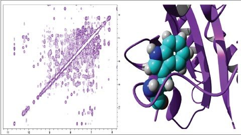Nuclear-magnetic-resonance-NMR-spectroscopy.jpg