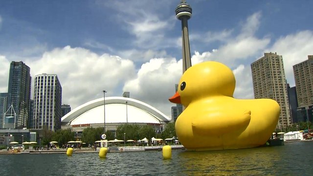 Toronto-Canada-Duck.jpg