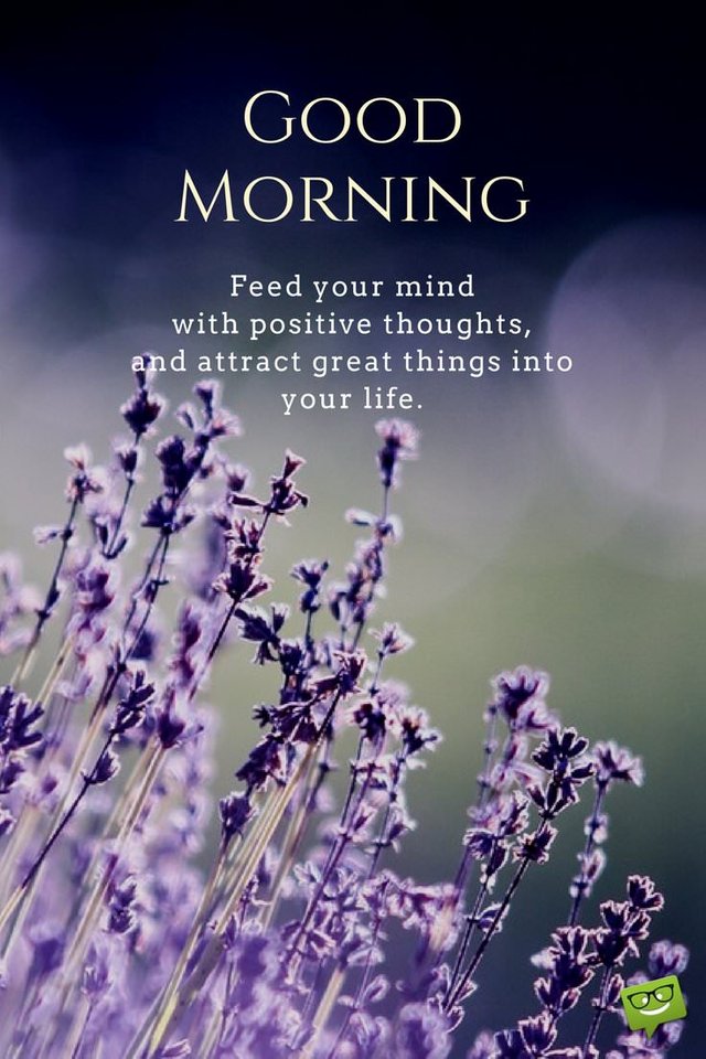 Good-morning-inspirational-quote-on-picture-with-lavender-flowers.jpg