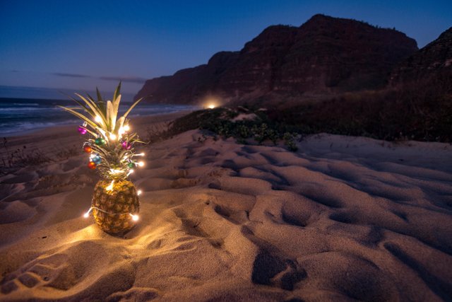 P_Tr_HI_Kauai_Polihale State Park-469.jpg