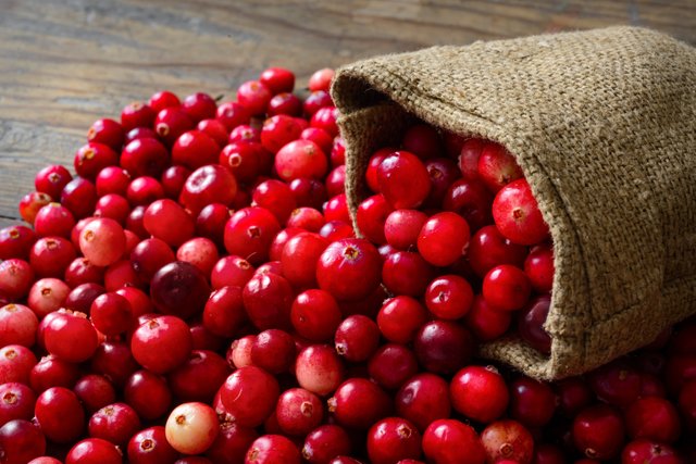 Cranberries .jpg