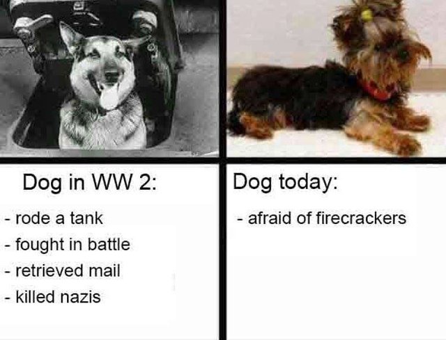 Doggo Nazi Killinmachine.jpg