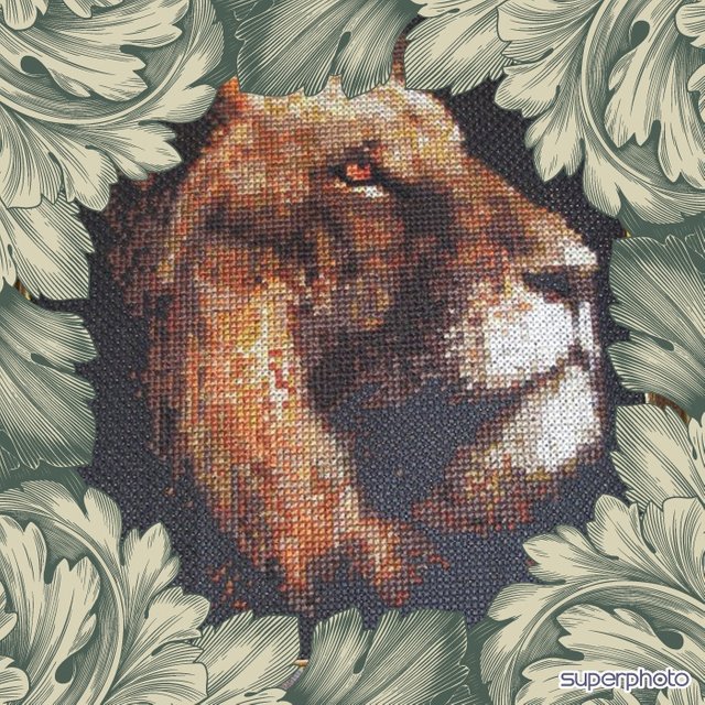 My Lion with supephoto frame.jpg