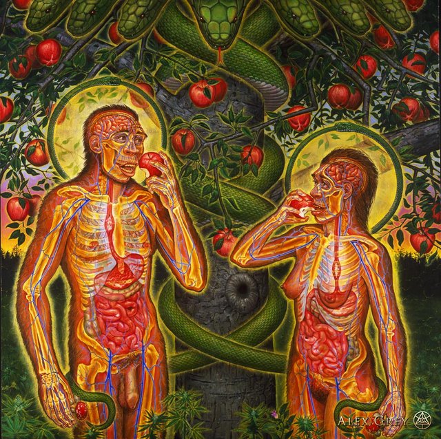 Alex_Grey-Adam_and_Eve_o.jpg