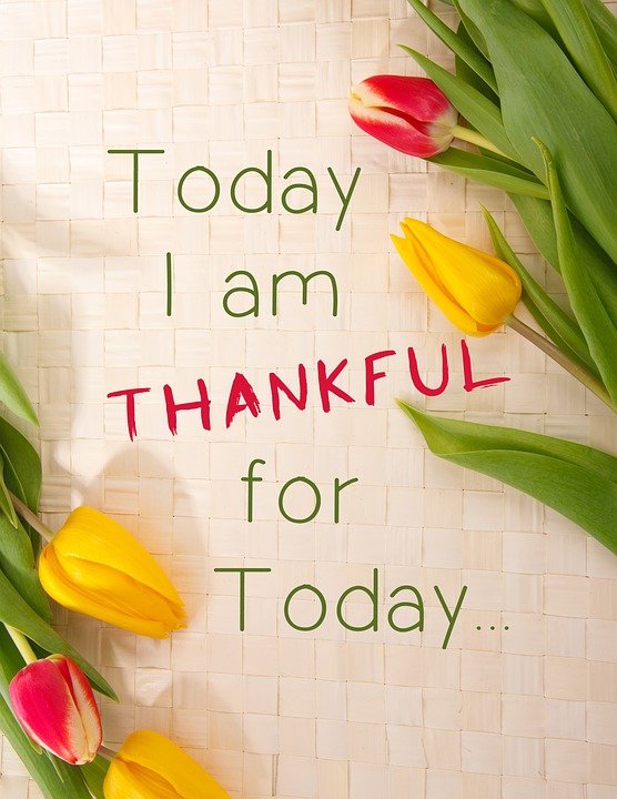 thankful-1081614_960_720.jpg