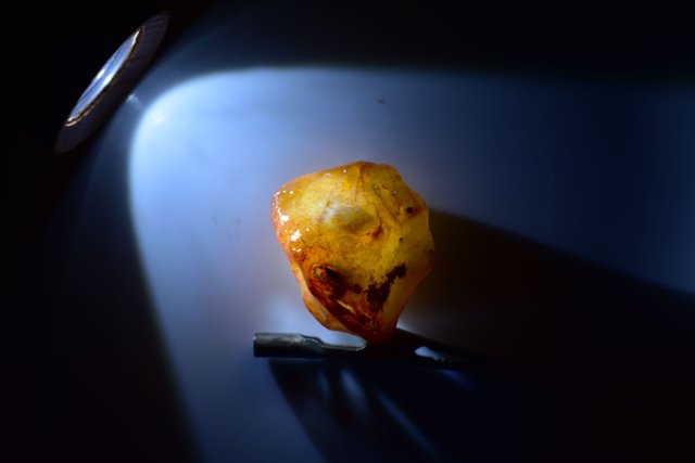 DSC_0256.JPG
