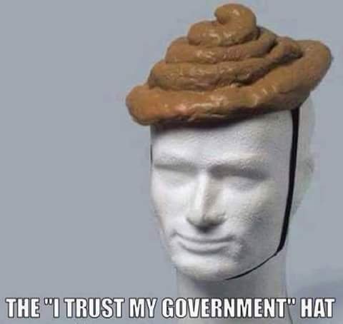 I Trust My Government Hat.jpg