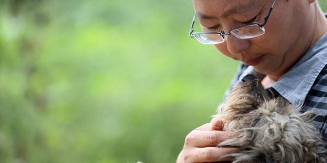 selamatkan-rawat-ratusan-anjing-terlantar-pria-ini-tuai-pujian.jpg