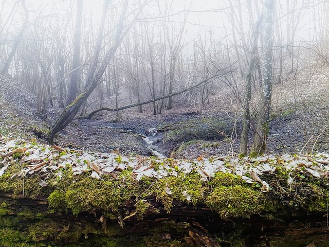 DSC_0198.jpg
