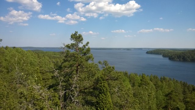 WP_20140524_011.jpg