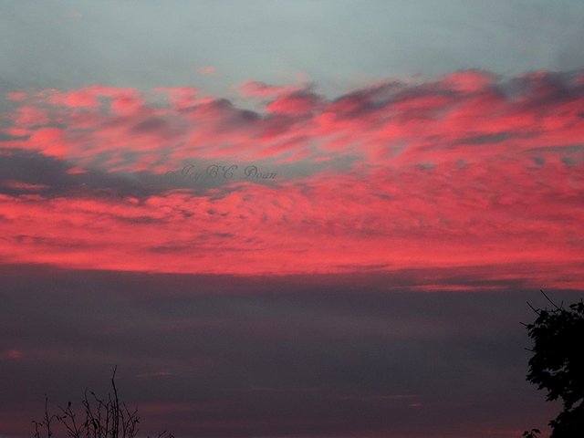 Pink Sky 2.JPG