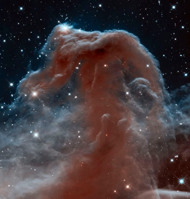 horsehead-nebula.jpg