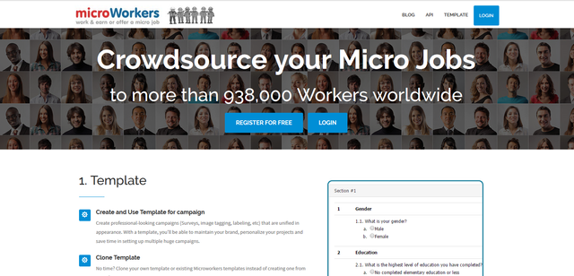 MICRO WORKERS SCREEN SHOT 2.png