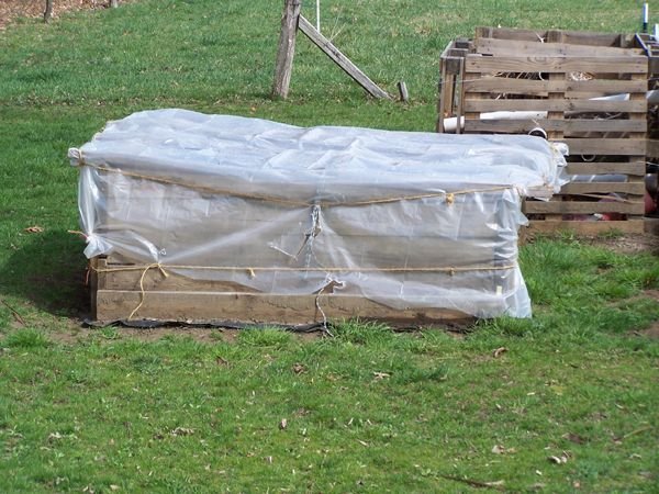 Cold frame with plastic on2 crop March 2012.jpg