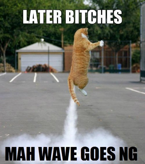 dah-rocket-cat_c_1009540.jpg