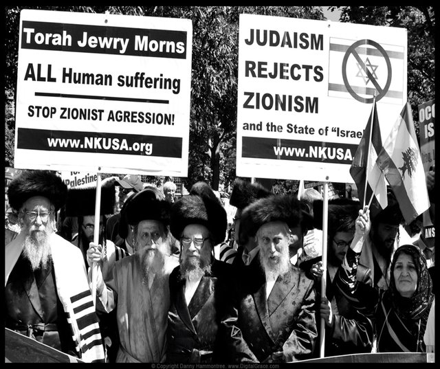 JewsAgainstZionism.jpg