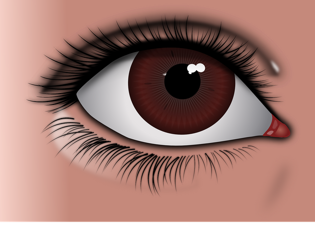 eye-157815_1280.png