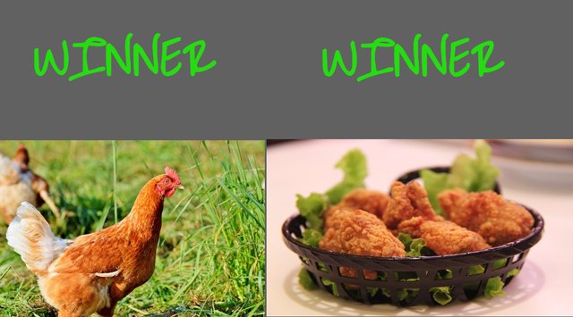 WInner WInner Chicken.jpg