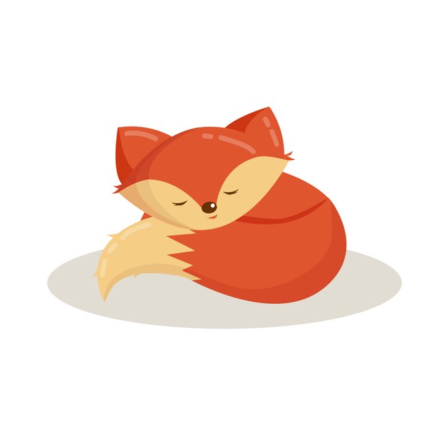 cute fox sleep 190418.jpg