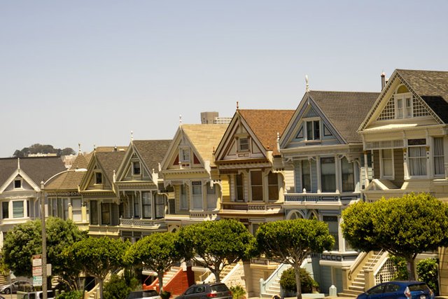 PaintedLadies2.jpg