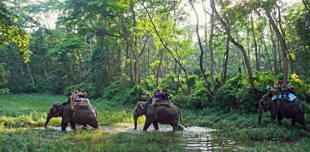 Chitwan.National.Park_.original.2800.jpg